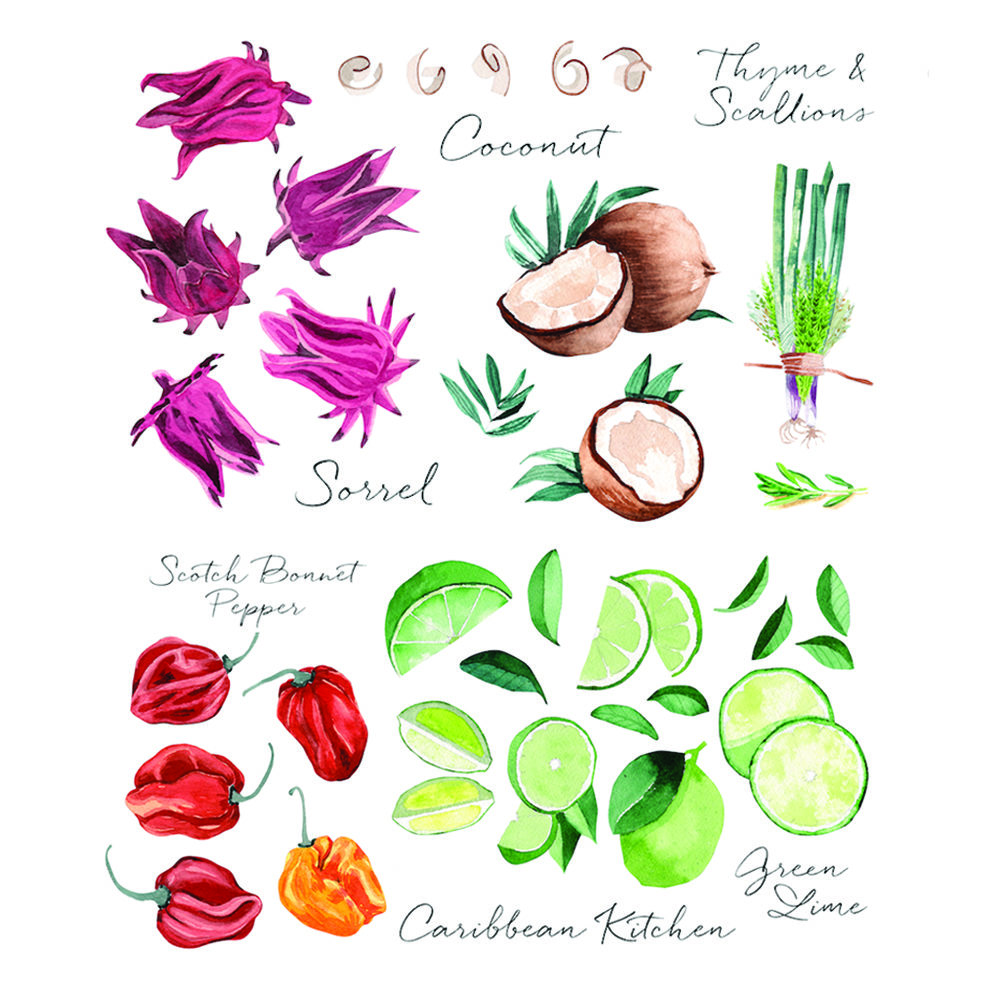 watercolor-caribbean-kitchen-draft-square